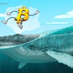 Kurumsal benimsenme erken dönem Bitcoin yatırımcılarının inancını sarsıyor