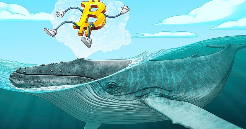 Kurumsal benimsenme erken dönem Bitcoin yatırımcılarının inancını sarsıyor