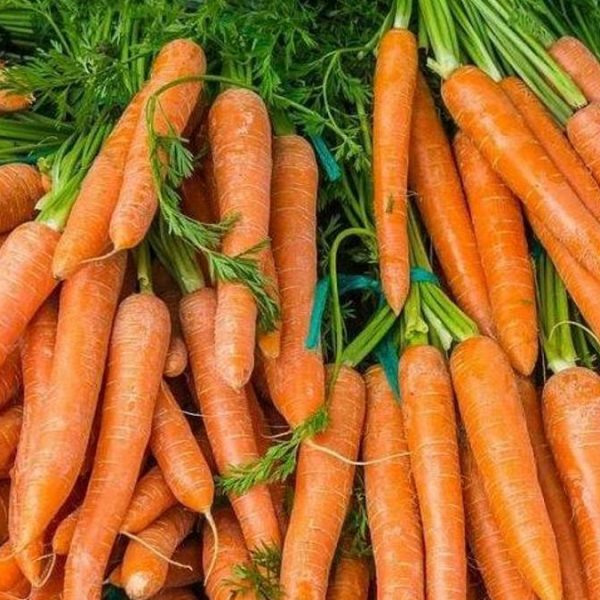 Tok tutuyor: Havuç Kilo Aldırır Mı? Havuç Kilo Yapar Mı?