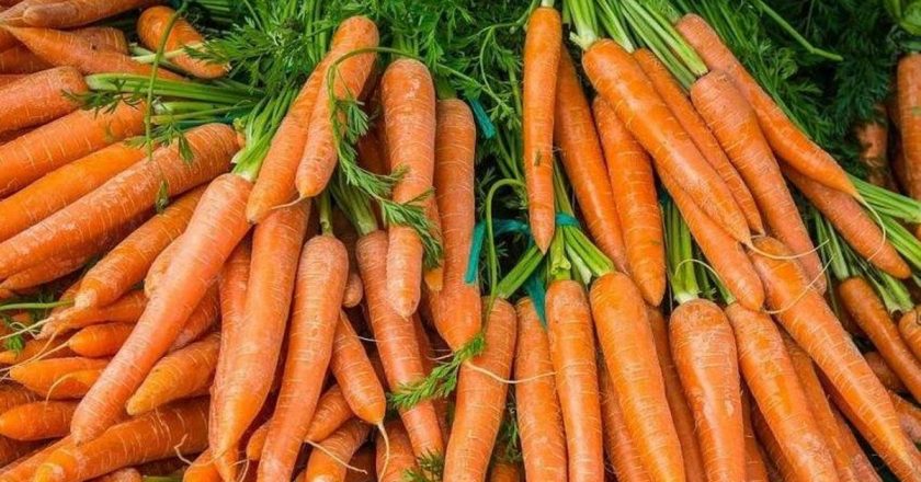 Tok tutuyor: Havuç Kilo Aldırır Mı? Havuç Kilo Yapar Mı?