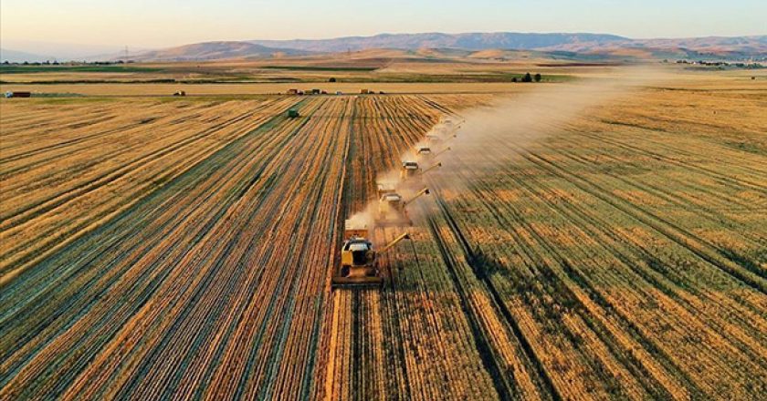 Tarımsal destek ödemeleri bugün çiftçilerin hesaplarına yatıyor