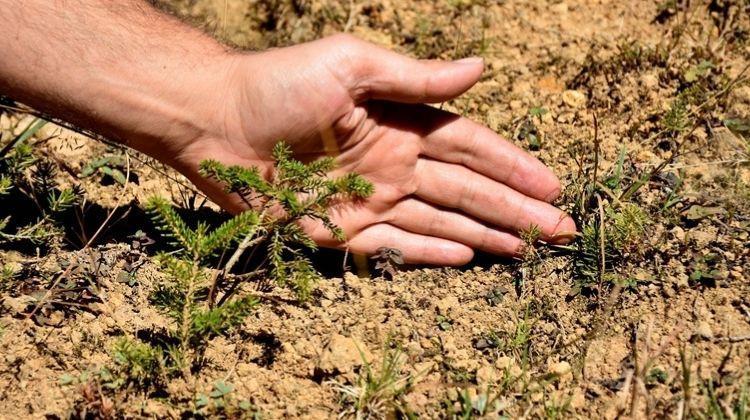 Biyoçeşitlilik çalışmasına ödül – Bigpara Ekonomi Haberleri
