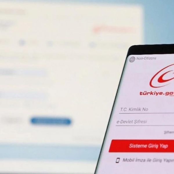 E Devlet platformunda gizli kalan işlemler ilgi topluyor